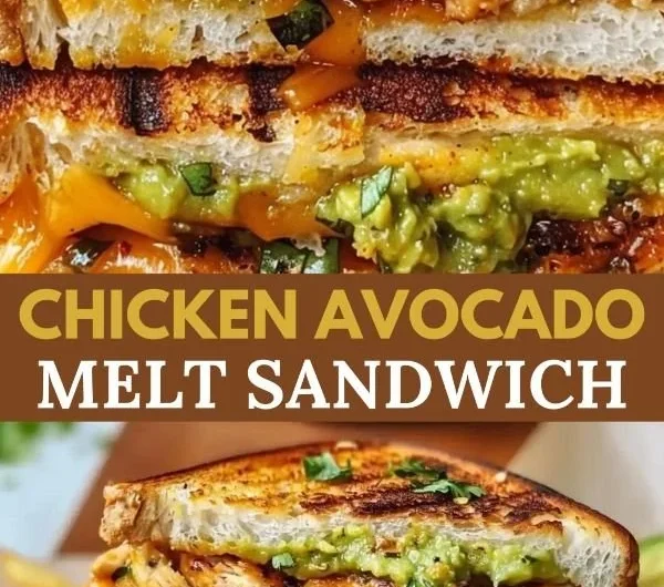 Delicious Chicken Avocado Melt Sandwich loaded with fresh ingredients.
