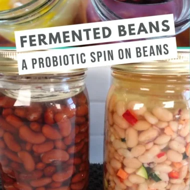 Various types of fermented beans used in culinary dishes