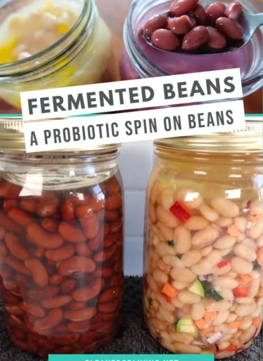 Various types of fermented beans used in culinary dishes