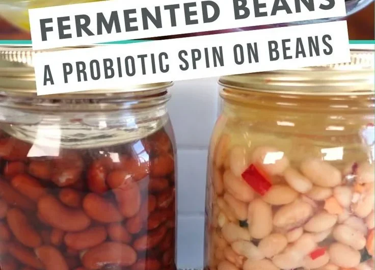 Various types of fermented beans used in culinary dishes