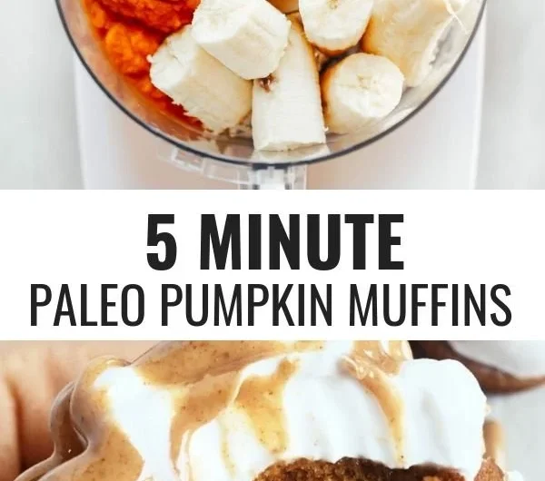 Delicious gluten-free paleo pumpkin protein muffins on a wooden table