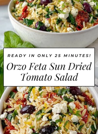 Delicious orzo pasta salad with feta cheese and sun-dried tomatoes