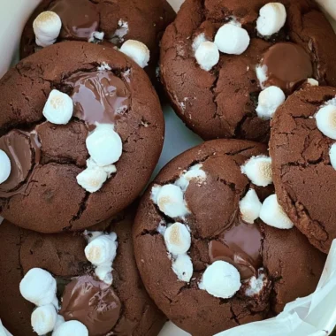 Delicious hot chocolate cookies with melted chocolate and marshmallows