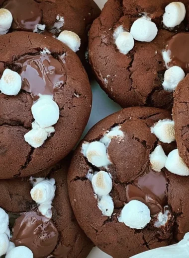 Delicious hot chocolate cookies with melted chocolate and marshmallows